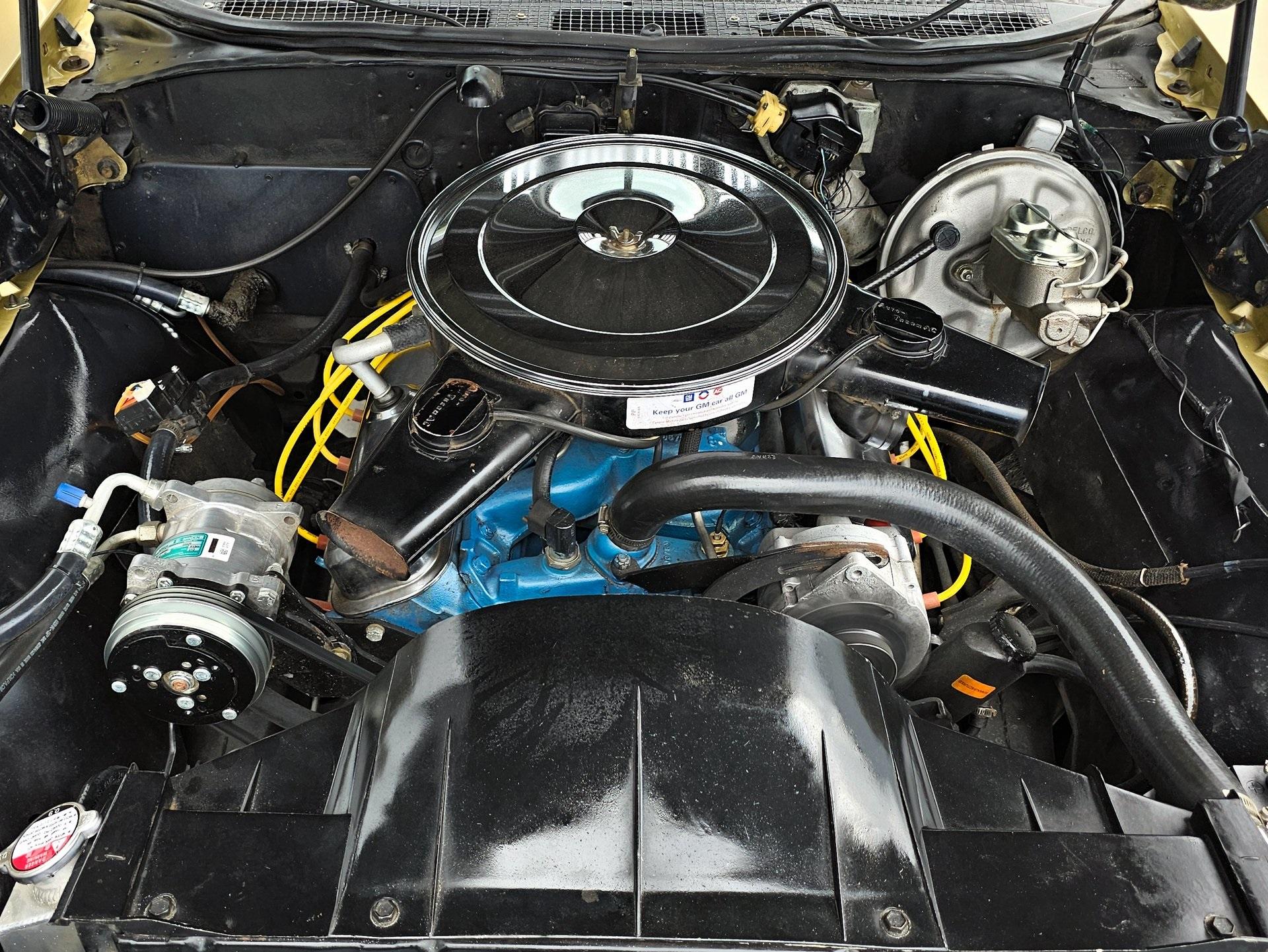 Used 1969 Pontiac GTO For Sale (Sold) | Exotic Motorsports of