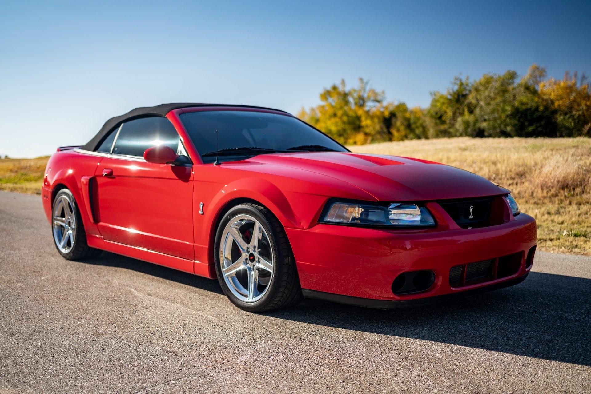 Sitemapcdatahttpsomobeldreferenzcomelegant 07 Mustang Cobra For Sale Gallery